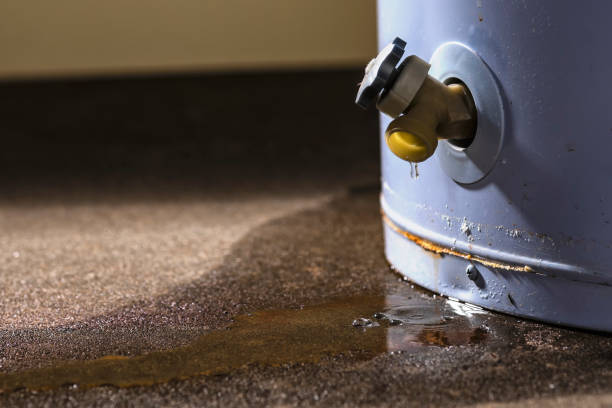 Best 24-hour water damage restoration  in Menomonee Falls, WI