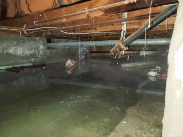 Best Ceiling water damage repair  in Menomonee Falls, WI