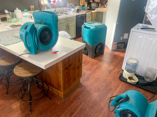 Best Water damage restoration insurance claims  in Menomonee Falls, WI