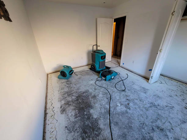 Best Water damage cleanup near me  in Menomonee Falls, WI
