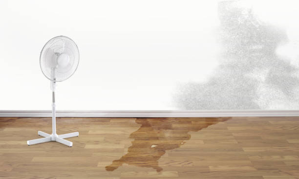 Best Emergency water damage restoration  in Menomonee Falls, WI
